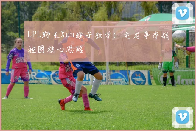 LPL野王Xun猴子教学：电龙争夺战控图核心思路
