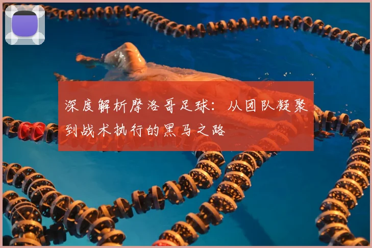 深度解析摩洛哥足球:从团队凝聚到战术执行的黑马之路