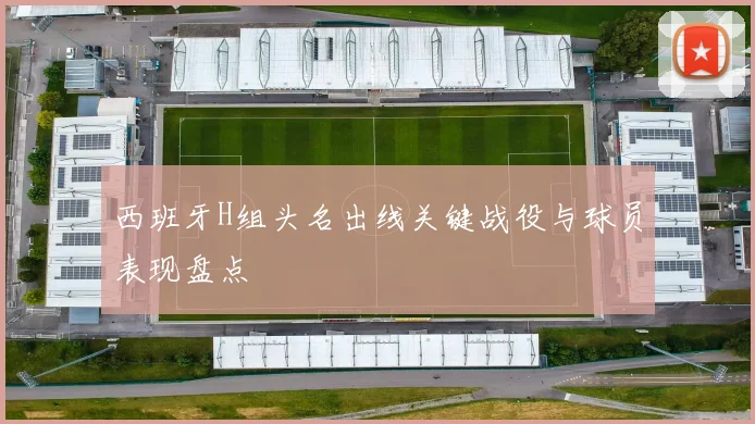 西班牙H组头名出线关键战役与球员表现盘点