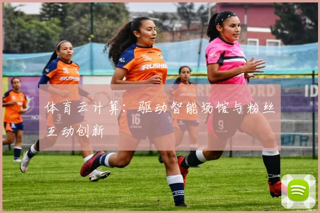 体育云计算：驱动智能场馆与粉丝互动创新